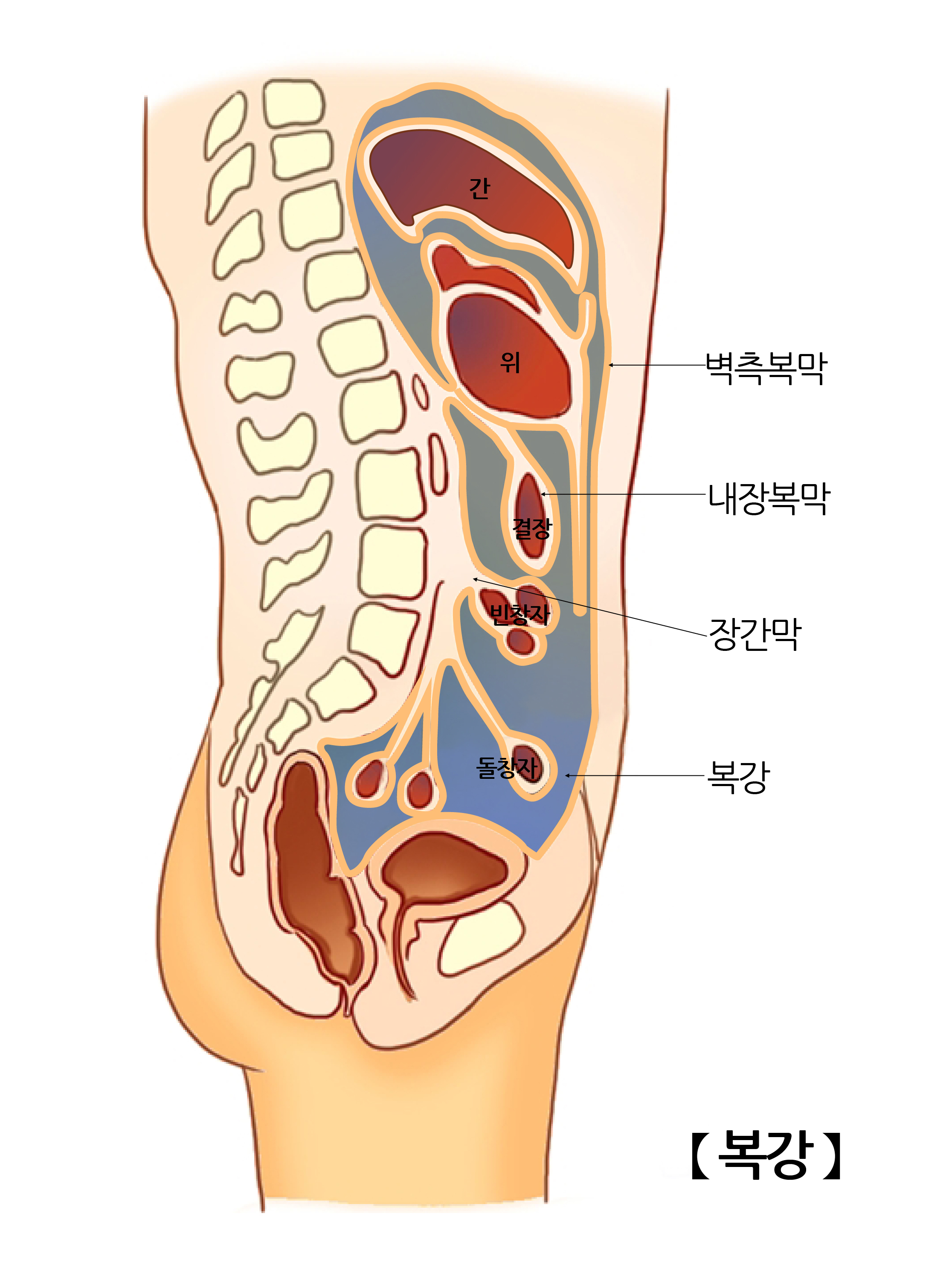 복강