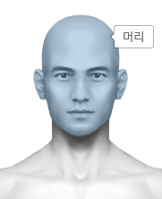 인체 머리부분